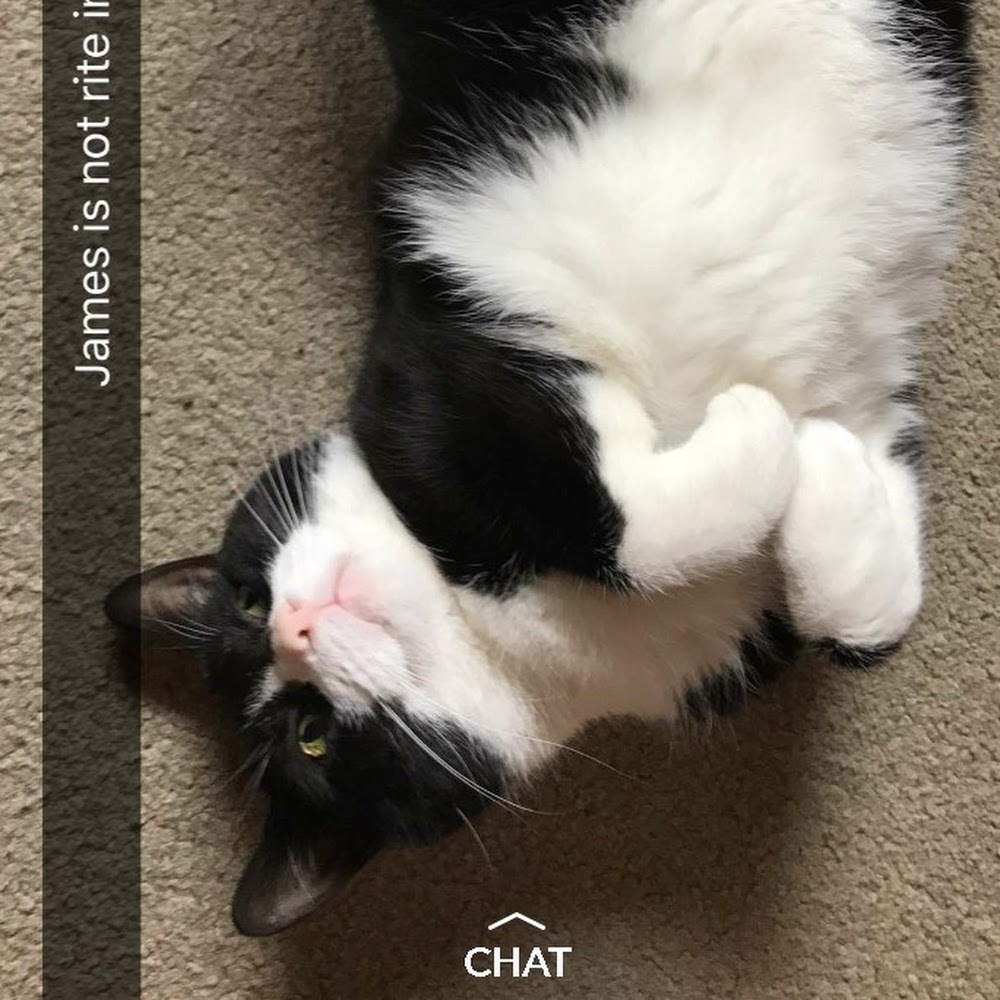 Meet your Posher, Melon